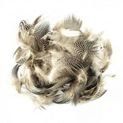 Перья чирка Hareline Teal Flank Feathers