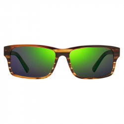 Очки Revo FINLEY (Brown Horn/Evergreen)