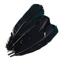 Перо Veniard Turkey Broad Wing Quill Dyed