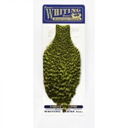 Перо Whiting American Hen Cape