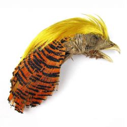 Скальп золотого фазана Fly-Fisher Golden Pheasant Head