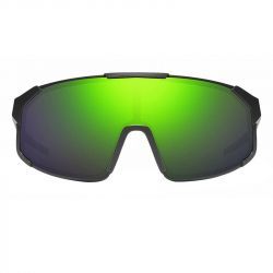 Очки Revo POLAR (Matte Black/Evergreen Photo)