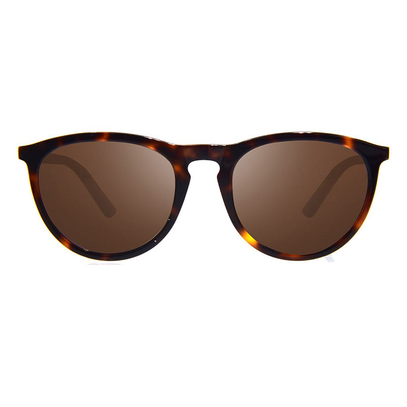 Очки Revo SAGE (Tortoise/Terra) Очки Revo SAGE (Tortoise/Terra)