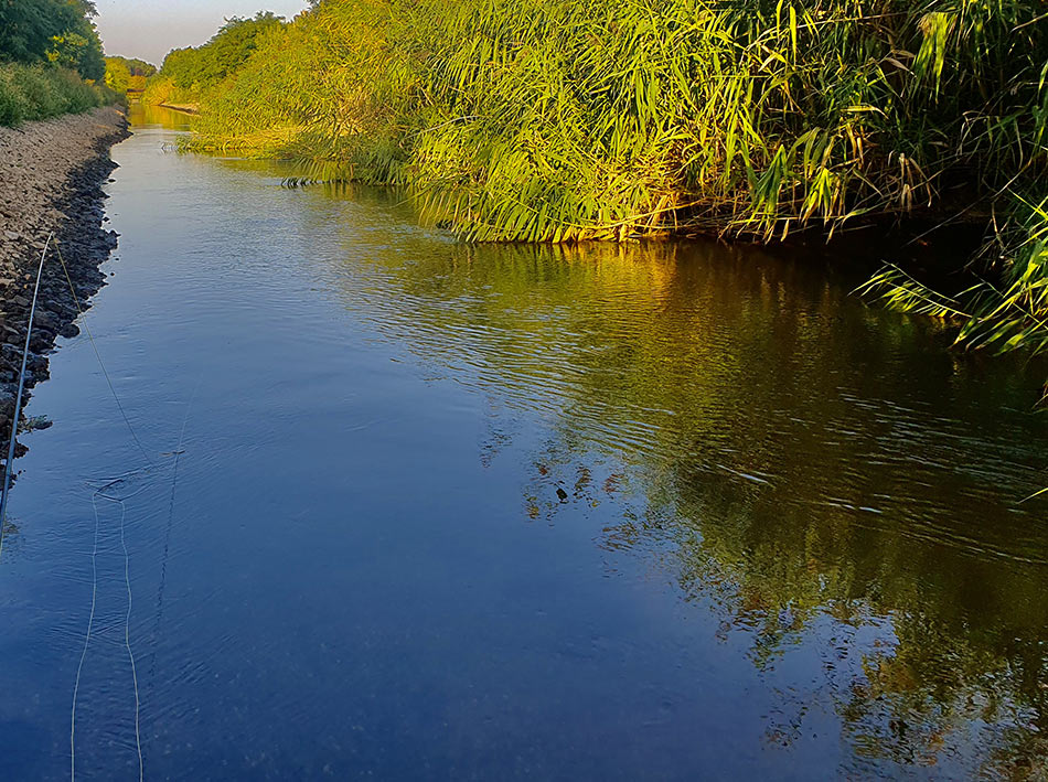 Трудно поверить, что такой небольшой речке может присутствовать крупная рыба