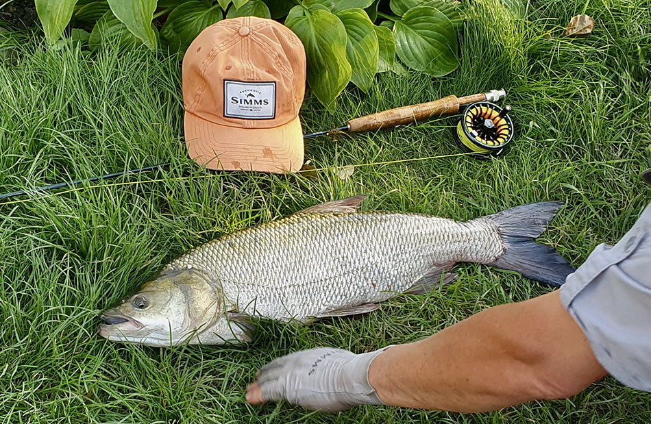 Не устану повторять, что такое фото на траве нужно делать очень быстро, чтобы не держать трофей долгое время без воды