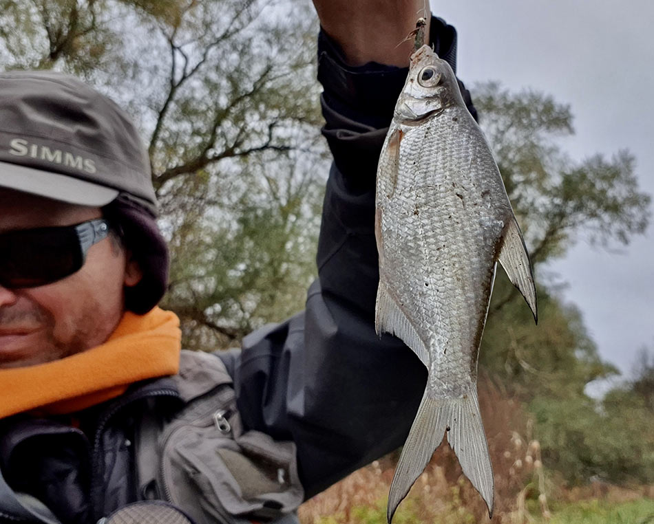 Вэйдерсная экипировка SIMMS при ловле подлещика будет вашим первым помощником