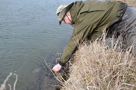 Отпускаю голавля в воду