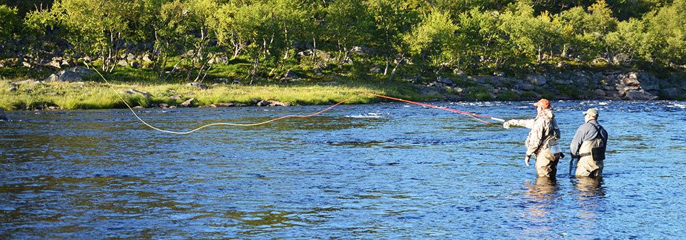 Читать статью