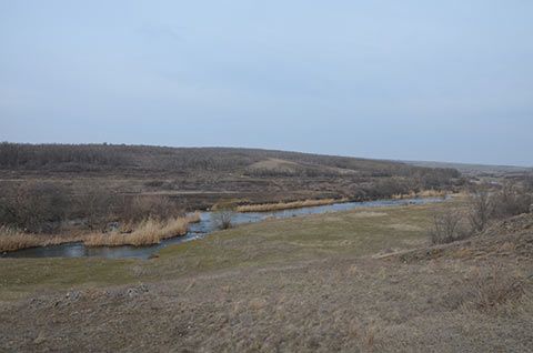 posle-dolgoj-zimnej-spyachki.jpg