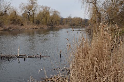 Чем ближе приближаешься к воде, тем больше веры в успешную рыбалку
