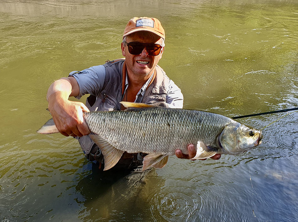 Жерех 3.5 кг, пойманный мной этим летом