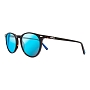 Очки Revo SIERRA (Tortoise/Water Blue)