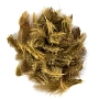 Перья куропатки Hareline Hungarian Partridge Feathers (Olive)