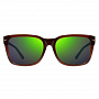 Очки Revo TAYLOR (EVERGREEN, BROWN)