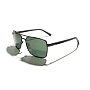 Очки Revo RAY (Gunmental/Smoky Green)