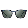 Очки Revo WATSON (Blue Horn/Smoky Green)