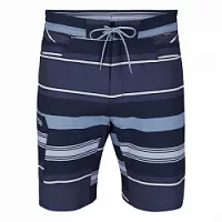 Шорты Simms Seamount Board Shorts